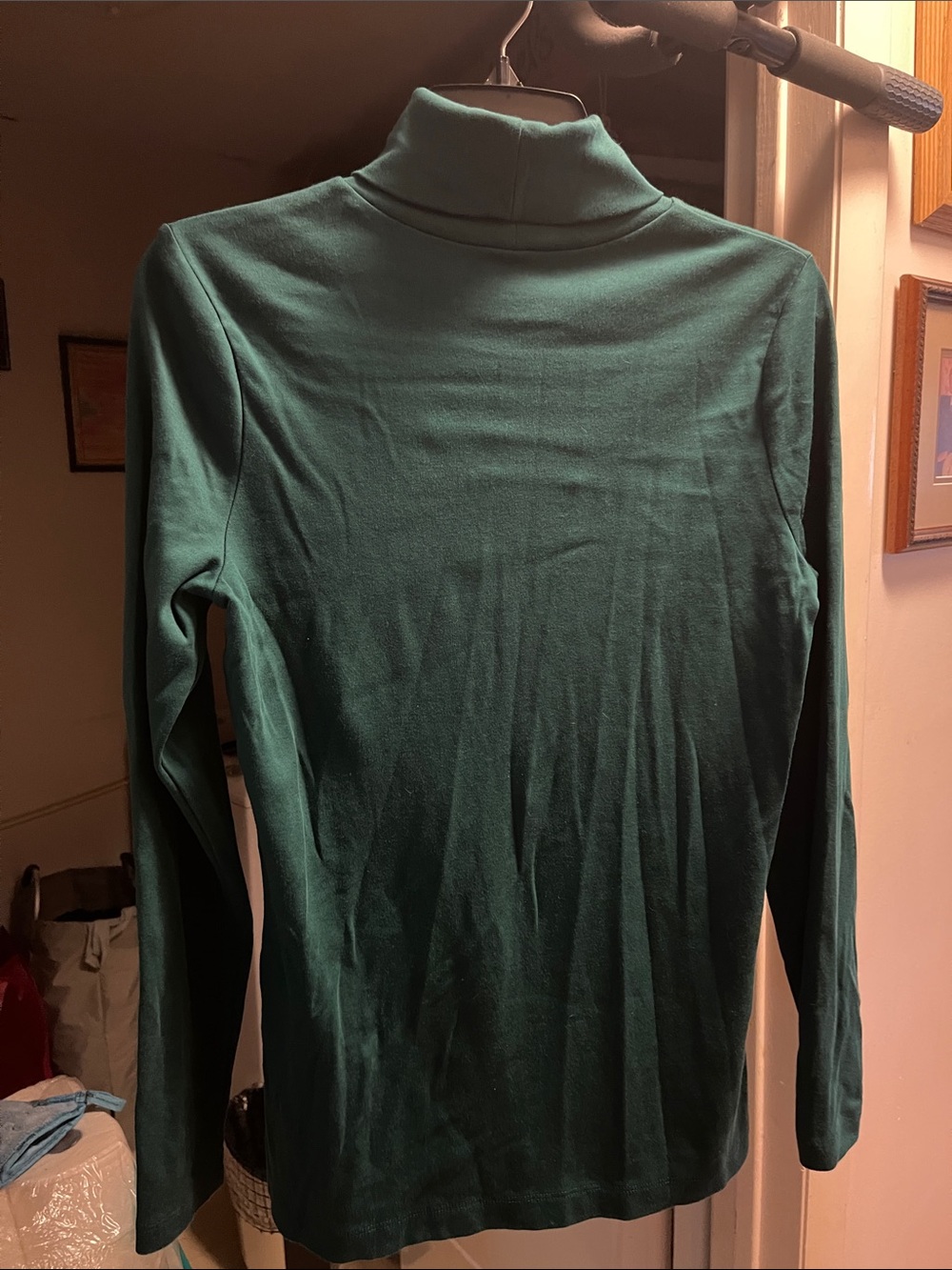 Lands' End Women's Dark Green Turtleneck Long Sleeve Top